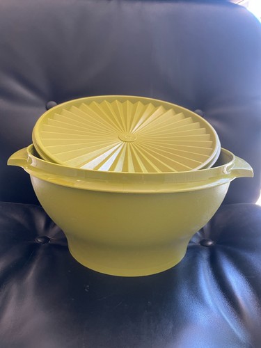Tupperware superbe - 🐈‍⬛,