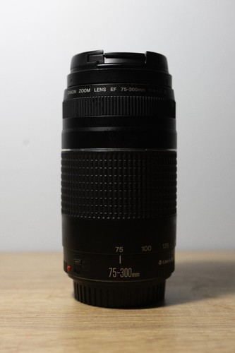 Canon 300mm 5 - ef, iii