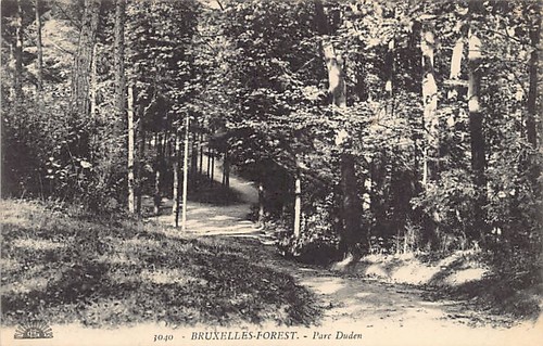 Belgique forest - belgique,