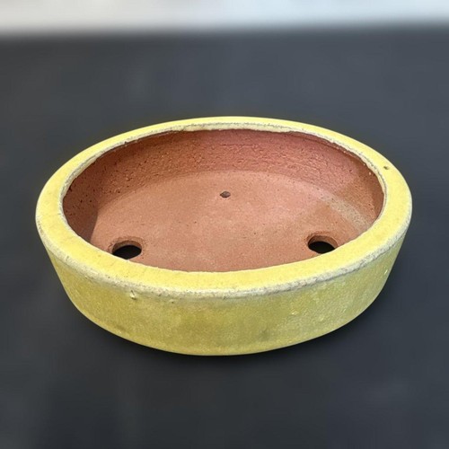 Bonsaï pot jaune - jaune, poterie