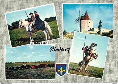 Carte postale animaux - postale,