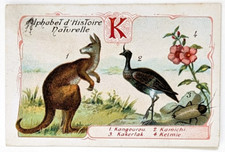 Image chromo chicorée Williot