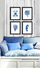 Plage Décor Set De 4 sans