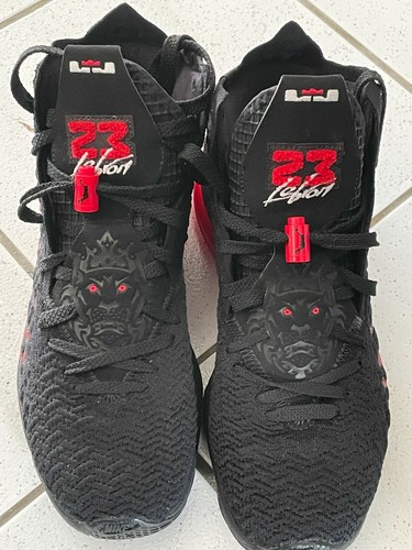 Paire baskets nike lebron - paire,