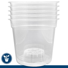 5 X Pot Orchidée Transparent