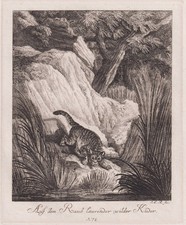 Kuder Wildkatze Wildcat Gravure En Cuivre Augsburg J. E. Ridinger 1738