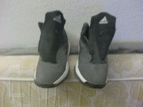 Paire baskets adidas t - baskets,