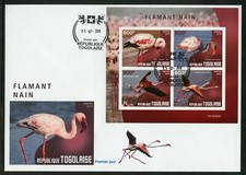 Togo 2019 Lesser Flamant