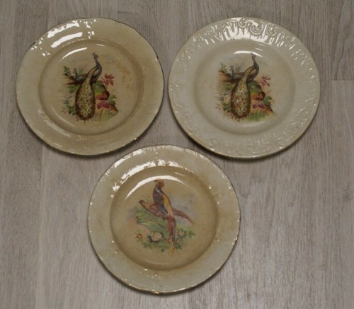 Lot assiettes plate - lot,