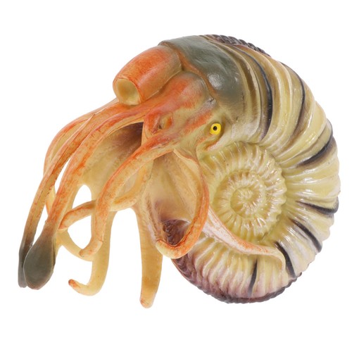 Simulation nautilus jouet - ,