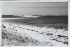 France,  Îles des Glénan