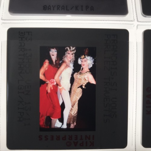 Sexe travestis - sexe,