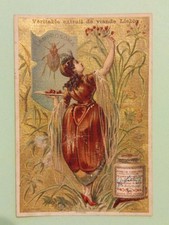 chromo LIEBIG - femme insecte