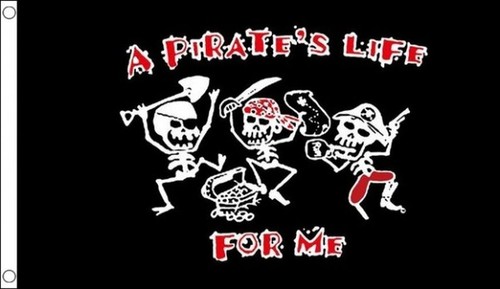 Drapeau une vie pirate - une,
