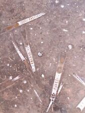 table basse ammonites orthocéras  salon