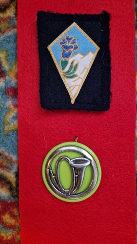 Insignes chasseurs alpins - insignes,