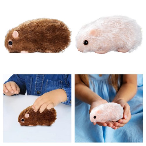 Modèle hamster en - modèle,