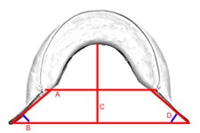 Pommeau pour selle sans arçon
