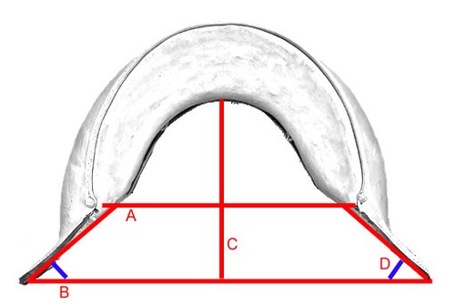 Pommeau pour selle sans arçon
