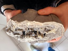 》》Grand Septaria à Quartz