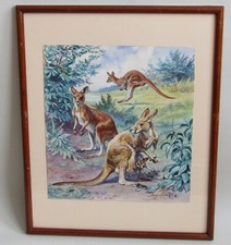 Eugène LELIEPVRE (1908-2013). Les kangourous aquarelle gouachée signée