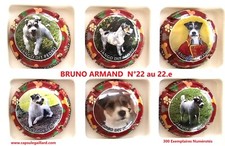 SERIE DE 6 CAPSULES DE CHAMPAGNE - BRUNO ARMAND 300 Exemplaires - N°22 au 22.e