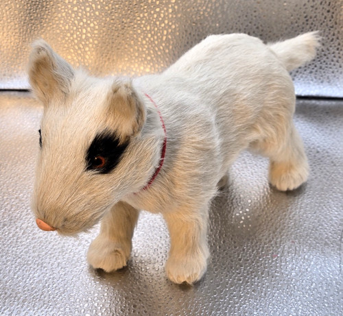 Vtg female white bull terrier - female,