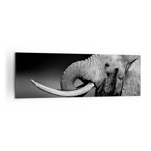 Impression sur toile - toile, 160x50cm