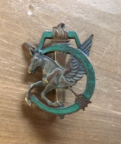 Insigne metal cie de - insigne,