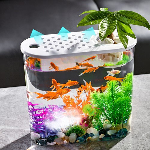 Vivier poisson déco - a,