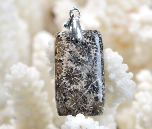 Corail fossile carats - corail,
