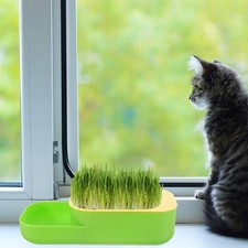  Plateau À Herbe Pour Chat