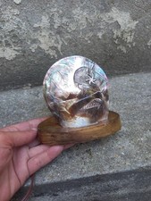 Lampe Bois Coquillage Nacre