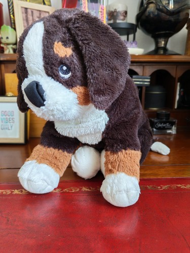 🐶Peluche doudou chien