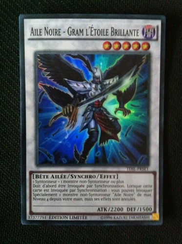 Aile noire gram - yu-gi-oh!,