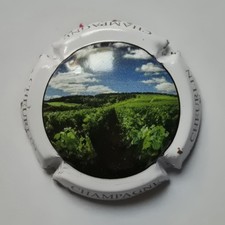 Capsule De Champagne Comte De