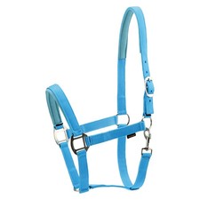 Harnais En Nylon Pour Chevaux - Turquoise - Harnais Pour Chevaux De Trait