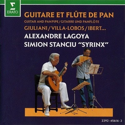 Guitar panpipe guitare et - guitar,