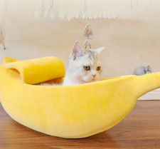 Niche chat forme banane taille