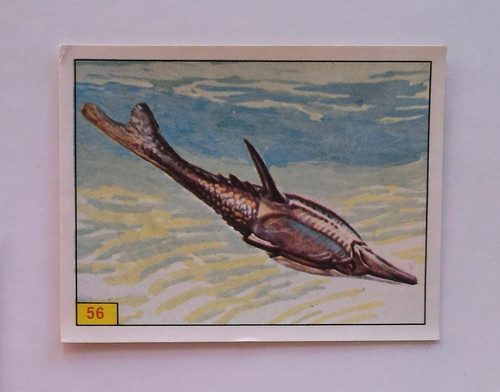 Panini animaux - panini, **