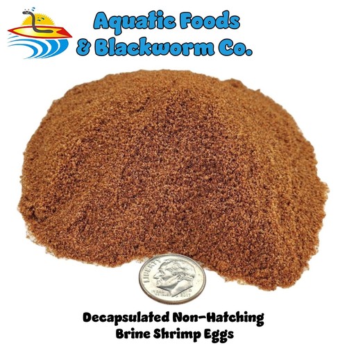 Decapsulated brine shrimp - brine,