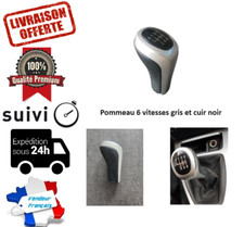 POMMEAU DE VITESSE 6 VITESSES