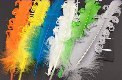 Qualité bouclé oie plumes - qualité,