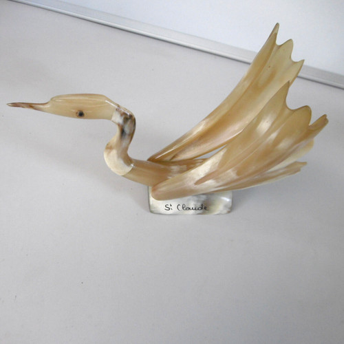Oiseau corne claude - en,