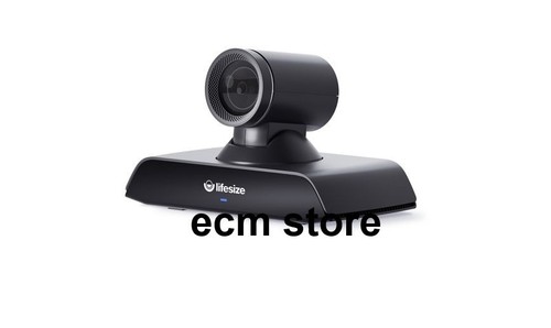 Lifesize model icon - icon, 500