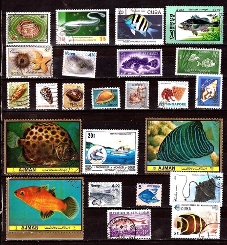 Pm148 tous pays - tous, poissons