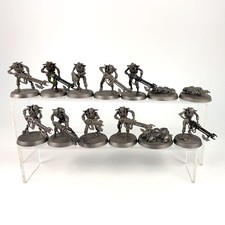 x13 Guerriers + Scarabés