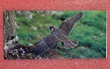 Carte MERVEILLES DU MONDE