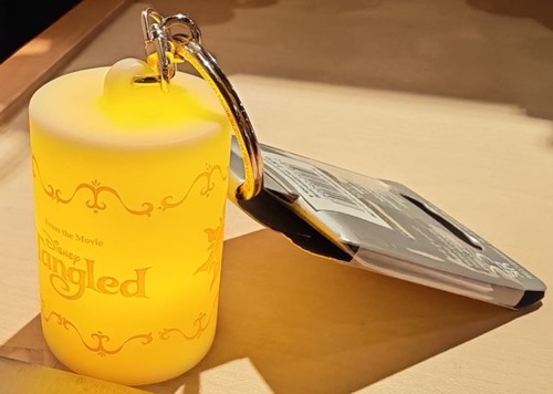 Porte clés keychain - porte,