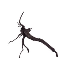 Aquarium Racine Déco Noir